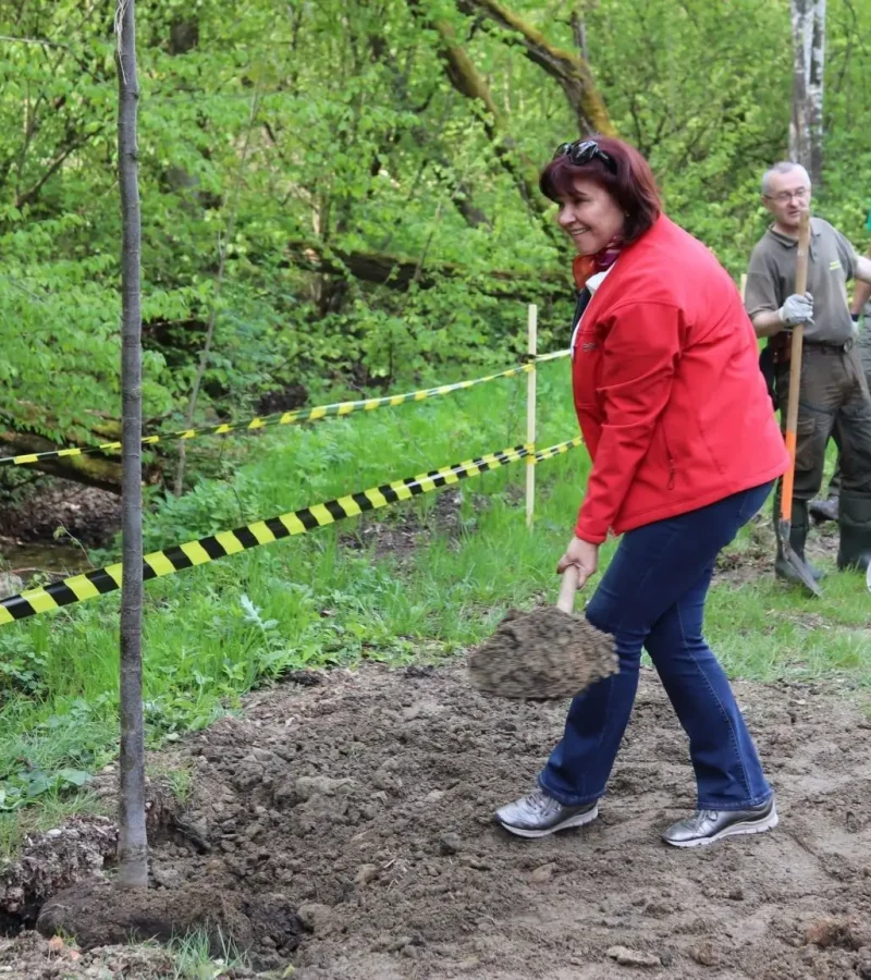 partnerstvo-muranska-planina-cierny-hron-sadenie-stromov